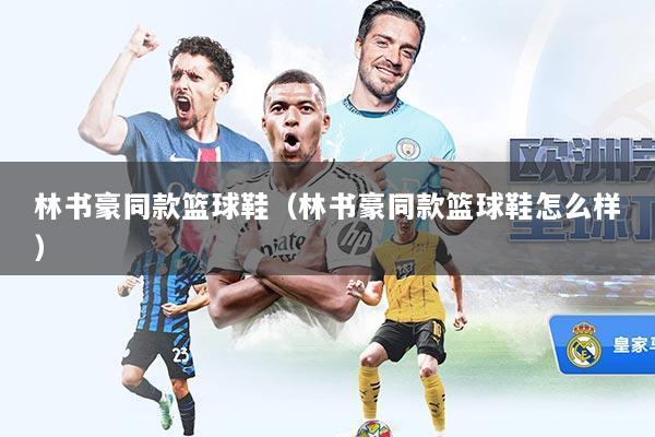 林书豪同款篮球鞋（林书豪同款篮球鞋怎么样）